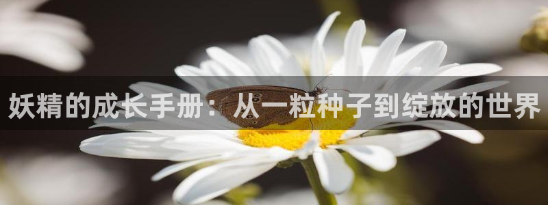 韩漫漫画重考生：妖精的成长手册：从一粒种子到绽放的世界